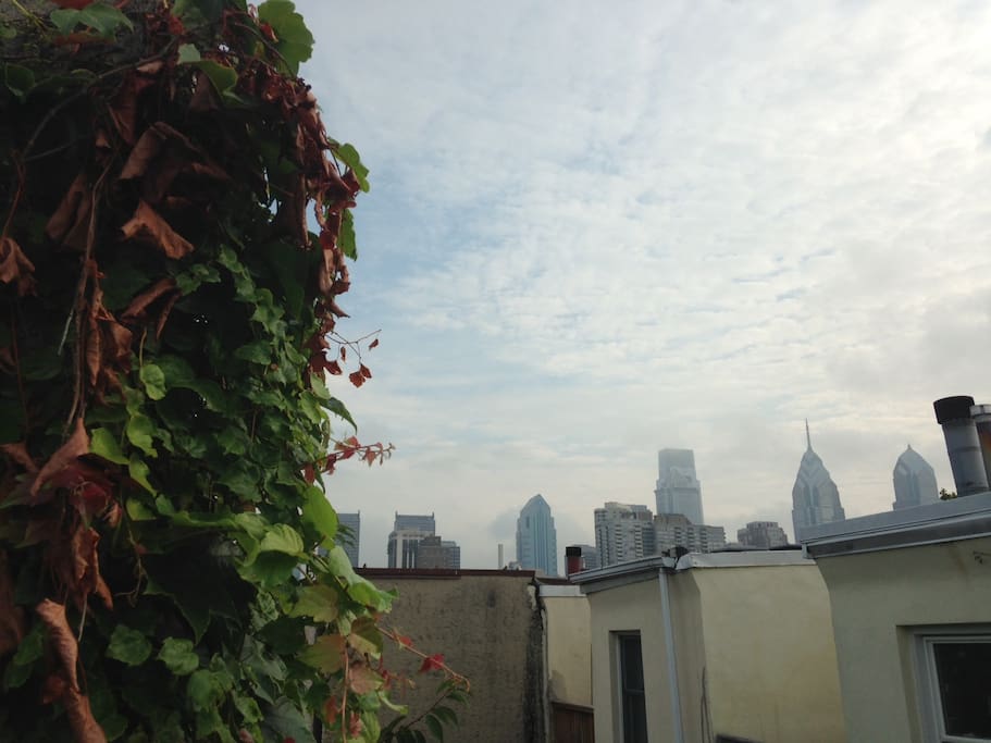 Charming Modern Philly Apartment Apartments for Rent in Philadelphia