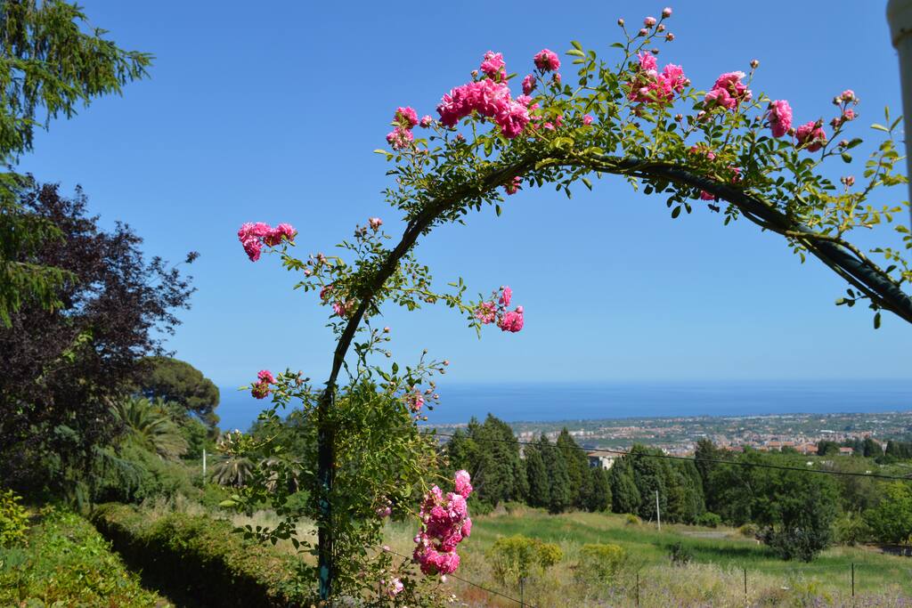 Vista mare