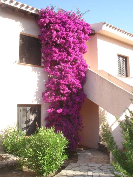 access to the apartment
