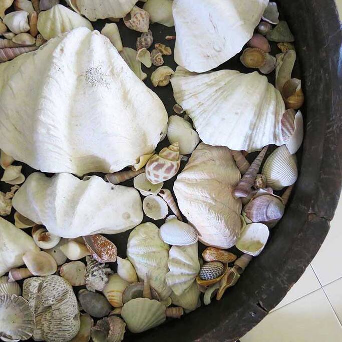 Detail - Living Area