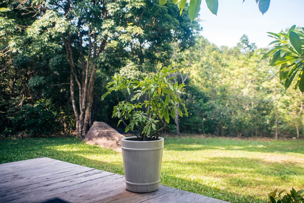 Surround by a big green garden