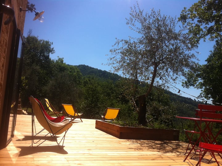 Petit Mas Avec Piscine Dans Oliveraie - Alpes-Maritimes
