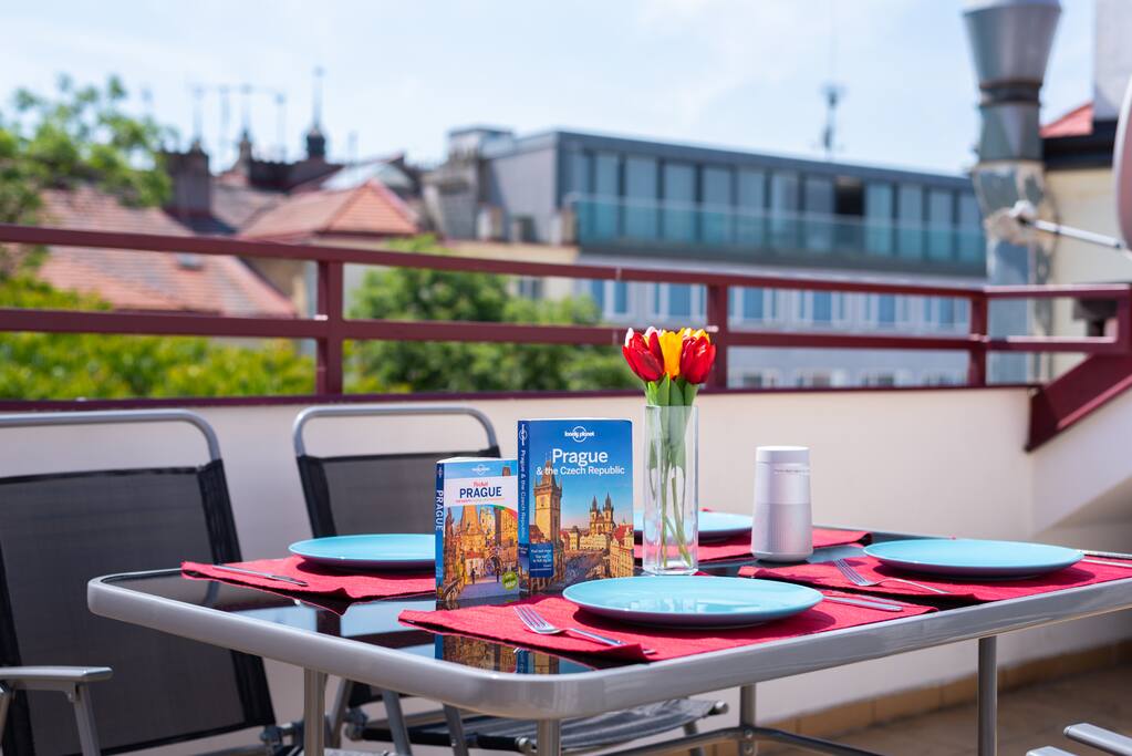 Large sunny terrace with grill