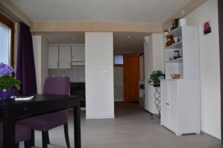 Studio 35sqm with private terrace