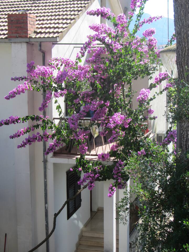 simple and pleasant accomodation a