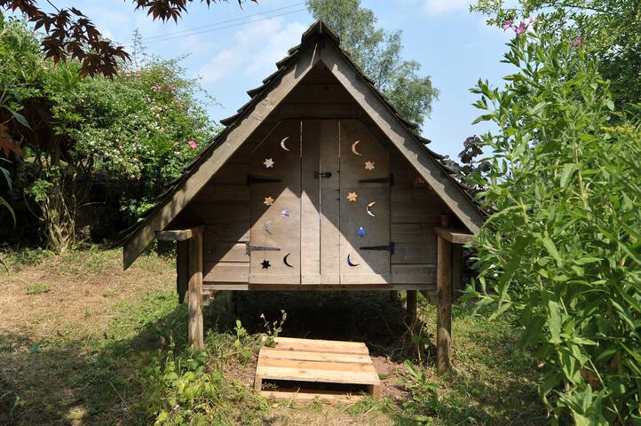 Stargazer in country garden