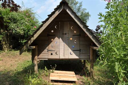 Stargazer in country garden