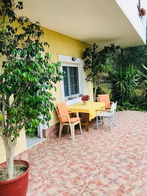 Terrace and Garden