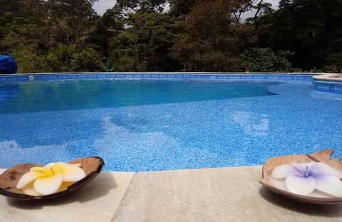 Refuge with pool. 40min. from Monte Verde.