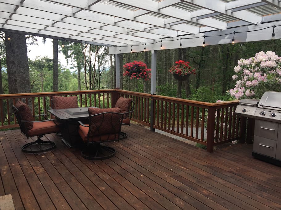 Front deck- includes gas fire pit, BBQ and great view!
