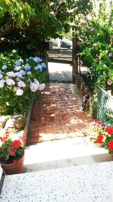 Entrée