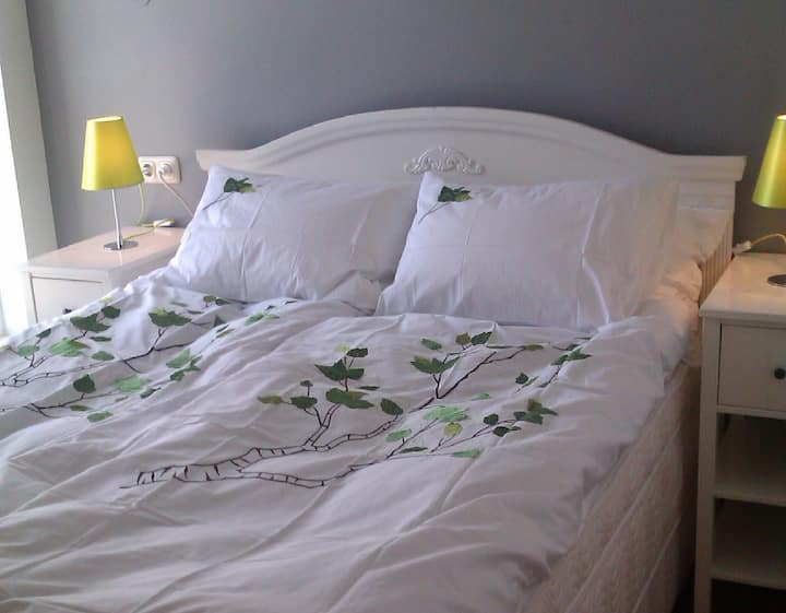 Top 10 LongTerm Rentals In Reykjavík, Iceland Updated 2024 Trip101