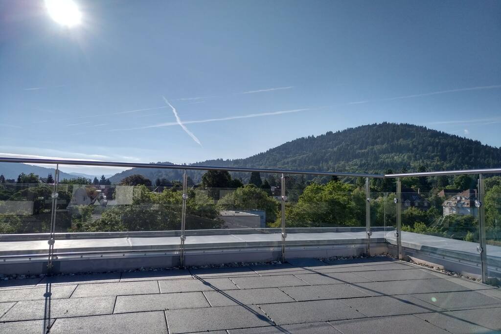 View from my sunny private rooftop to Blackforest