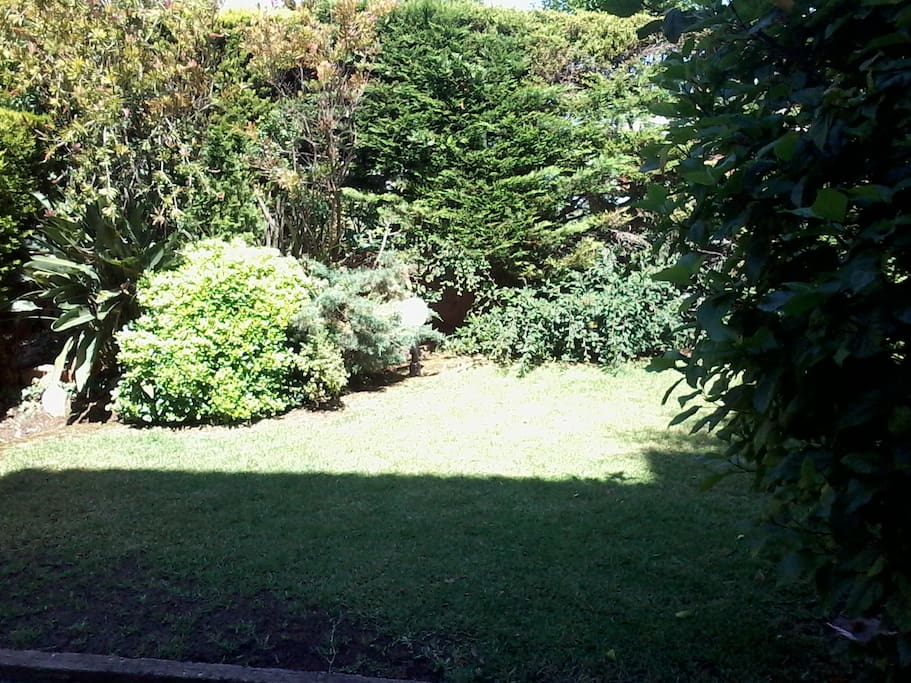 The garden