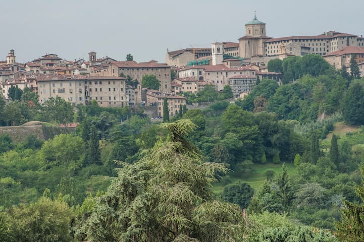 ReGo Apartments- Transfer ✈ 24/24 H Panoramic View