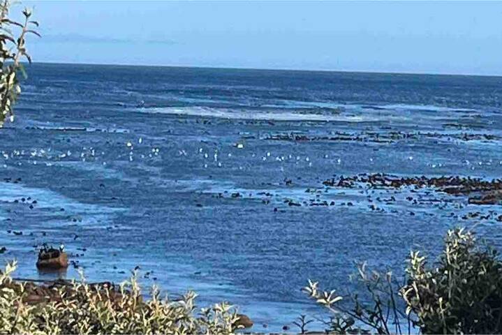 Seaview, Arum Place, Kommetjie gallery image 2