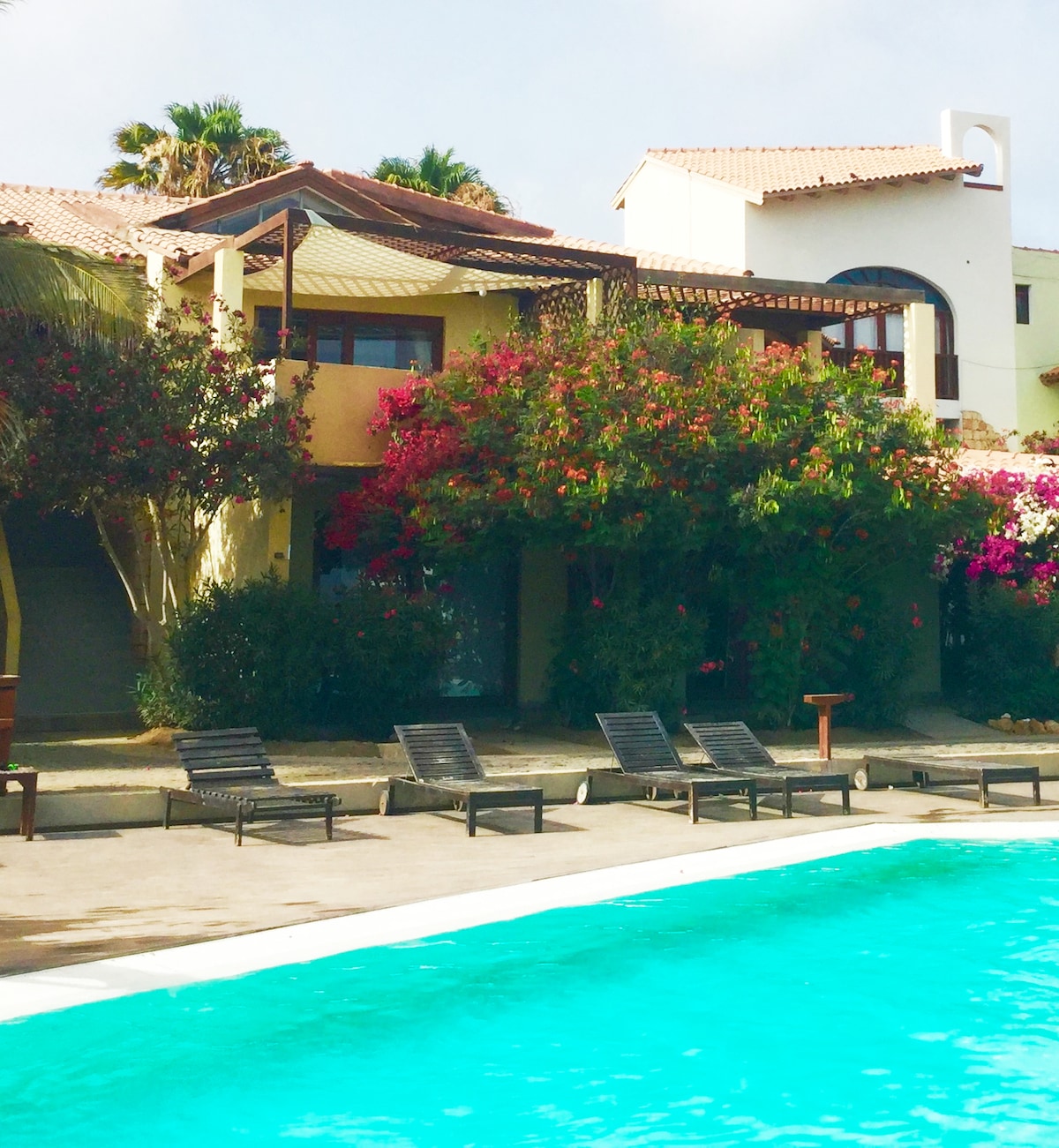 A serene view of the apartment complex is presented, featuring vibrant flowering plants and a lush garden. Sun loungers are arranged beside the sparkling pool, inviting relaxation. The structure showcases a charming blend of traditional architecture with modern touches, framed by palm trees and clear skies.