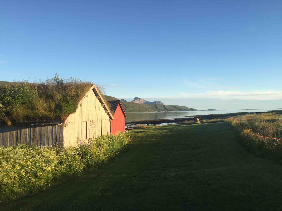 Two small cabins with grassy roofs are set against a clear blue sky and rolling mountains in the background. A green lawn leads up to the cabins, and the tranquil sea can be seen just beyond, creating a serene natural setting.