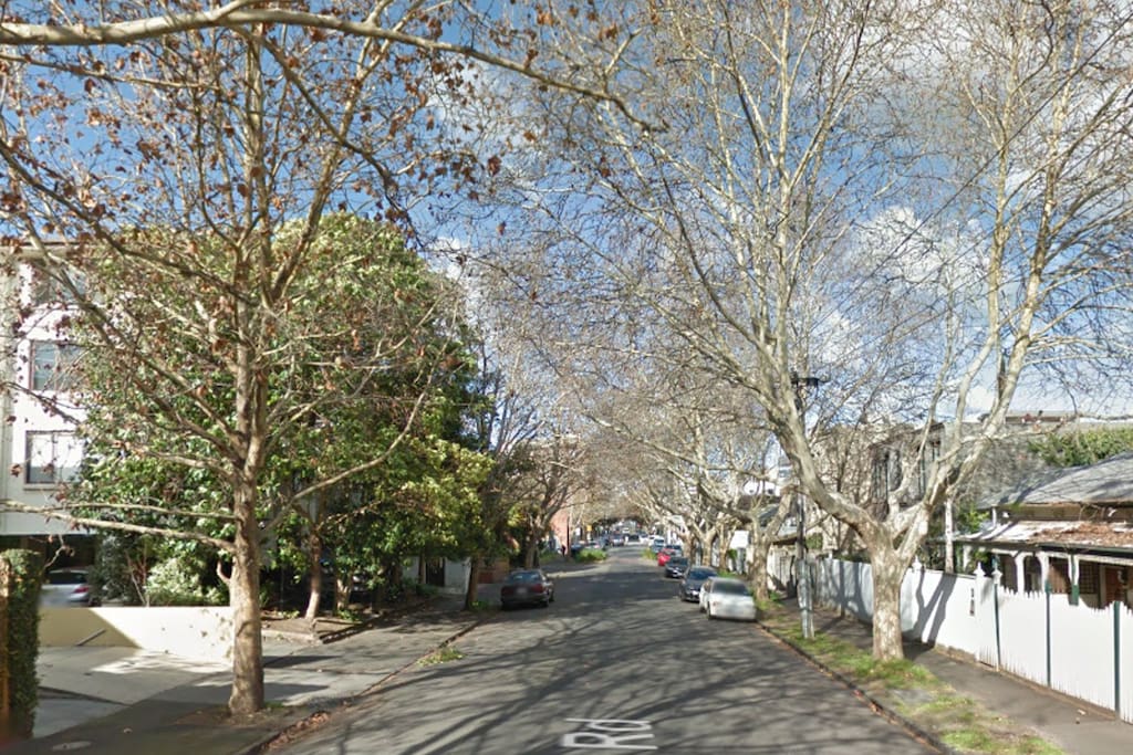 Beautiful Tree Lined St