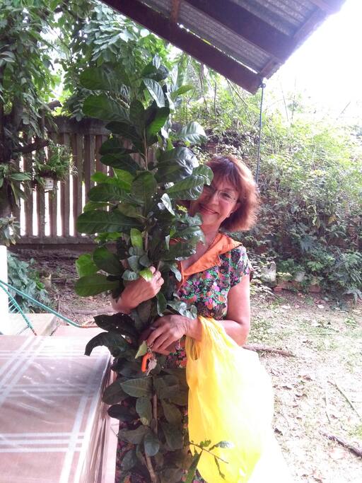La anfitriona