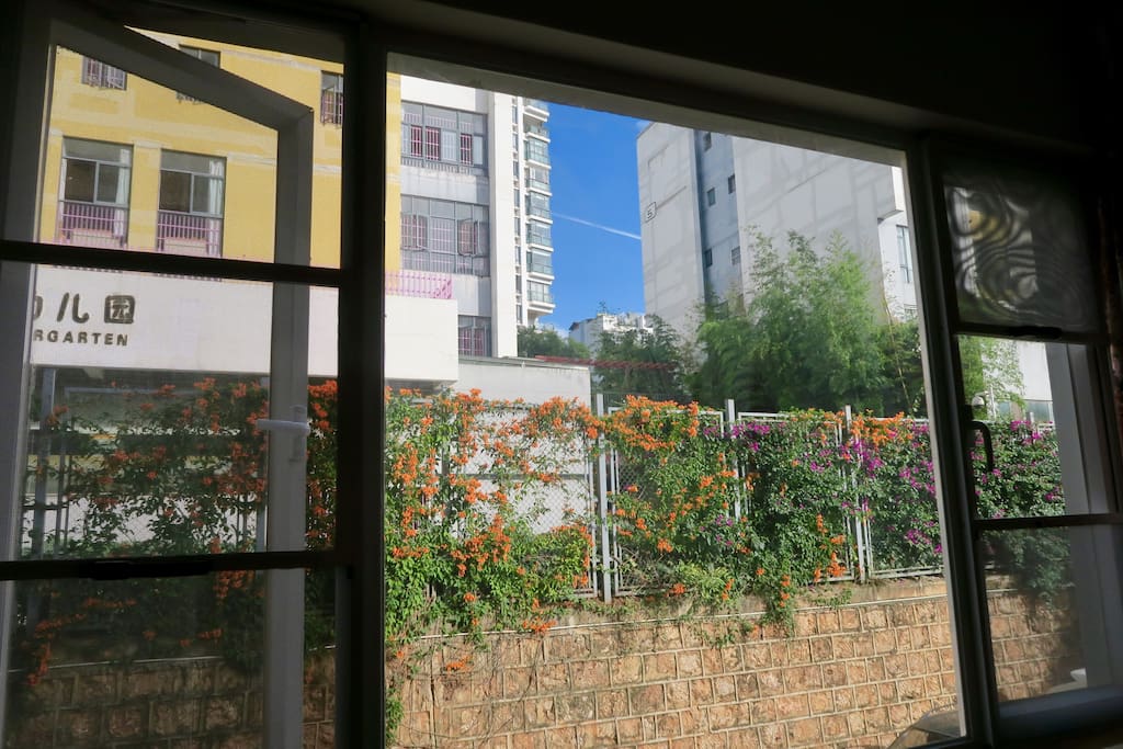 living room window faces north