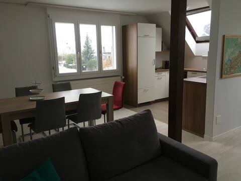 Spacious, beautiful and quiet apartment
