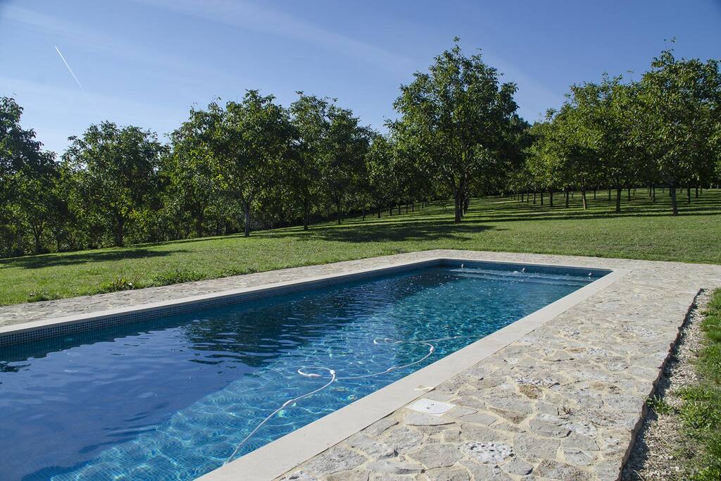 Piscine privée 12 m x 4 m avec rideau de protection