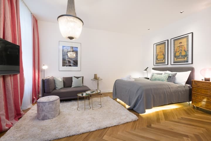Luxury Studio In Center 3.17 - Viena