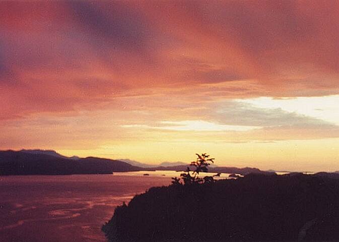 Whale Pod Chalet at Oaks Bluff Whale watching gallery image 3