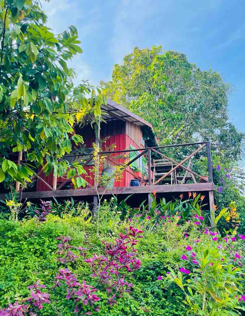 A charming wooden house, elevated on a deck, stands surrounded by lush greenery and vibrant flowers. The structure features a red exterior and a wooden railing, complemented by natural vegetation that enhances the tranquil setting.