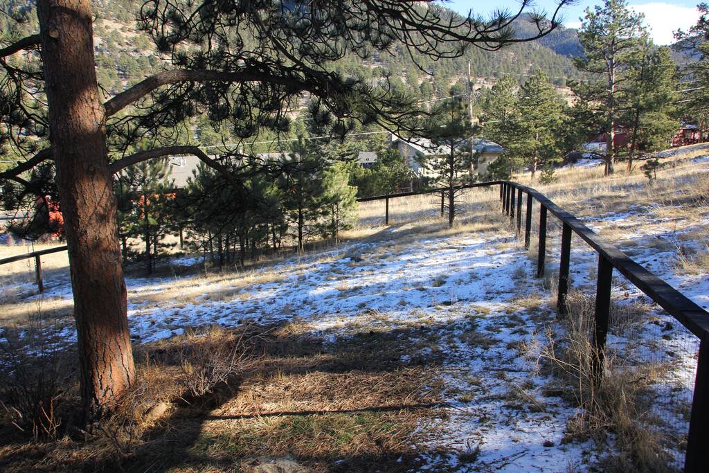 Fenced Side Yard