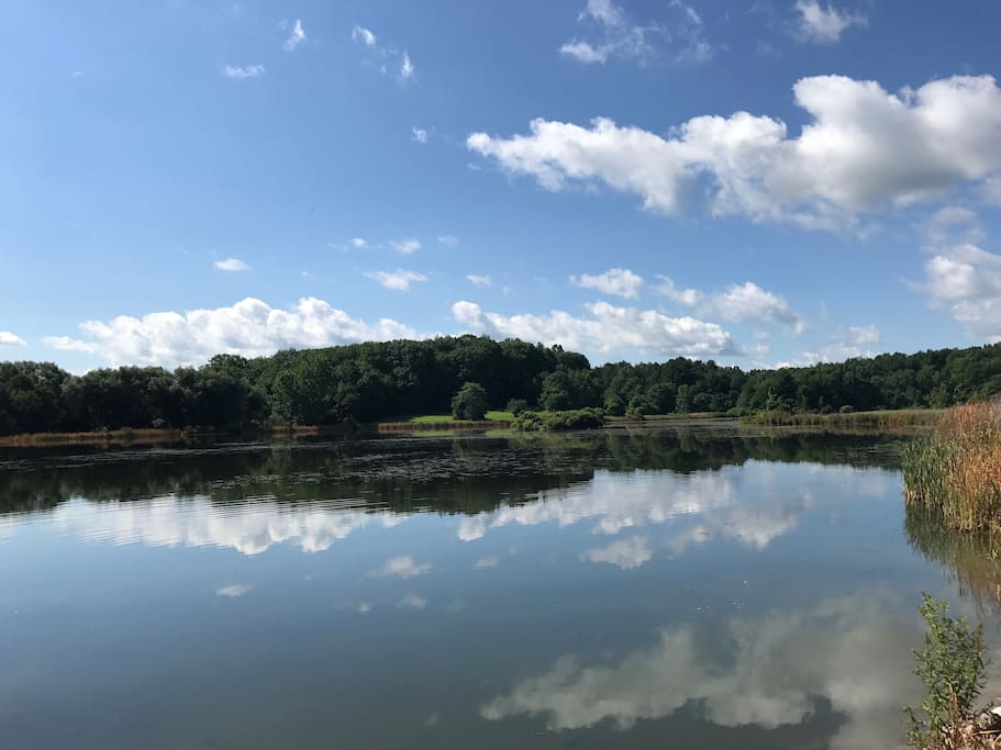 Goose pond