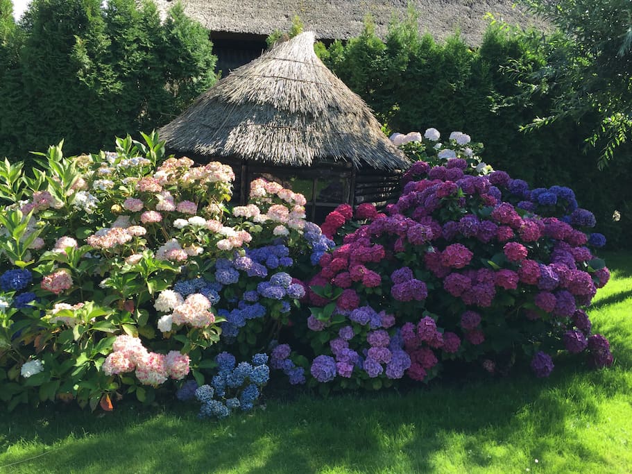 Tuinhuisje / Garden shed