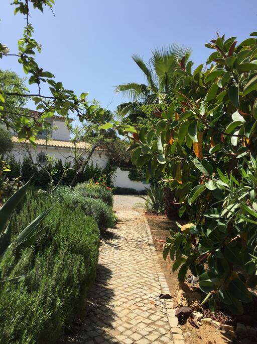 Pathway to the cottage - so private !