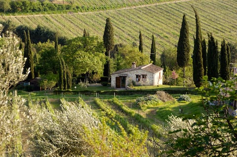 The Green House in Tuscany