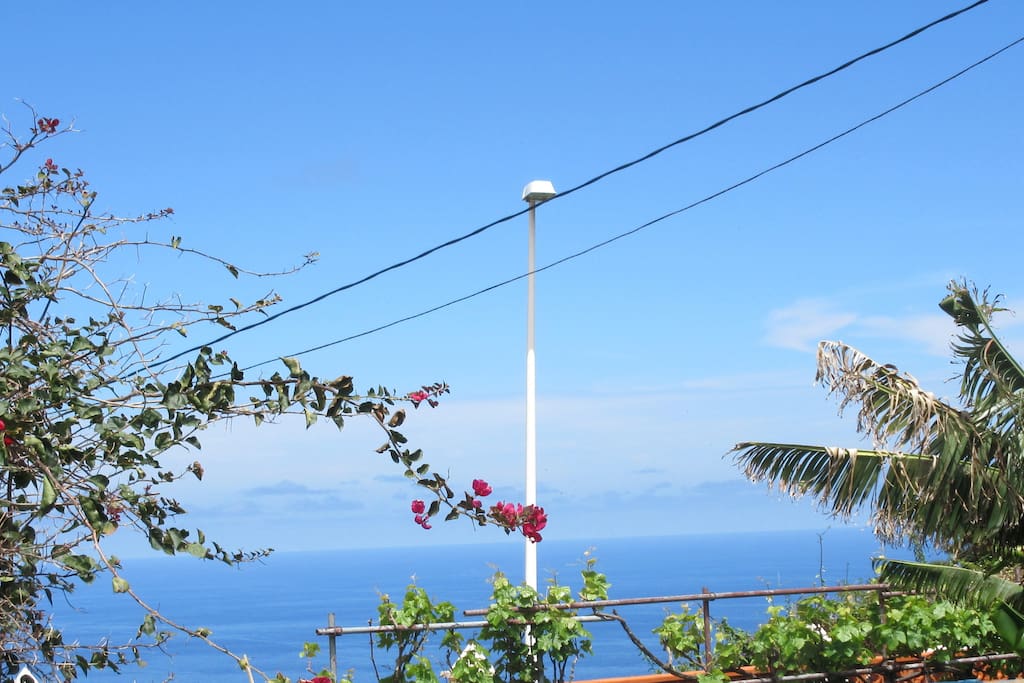 Enjoy the sea view!
Big patio and garden with lots of outdoor space and fresh vegetables.