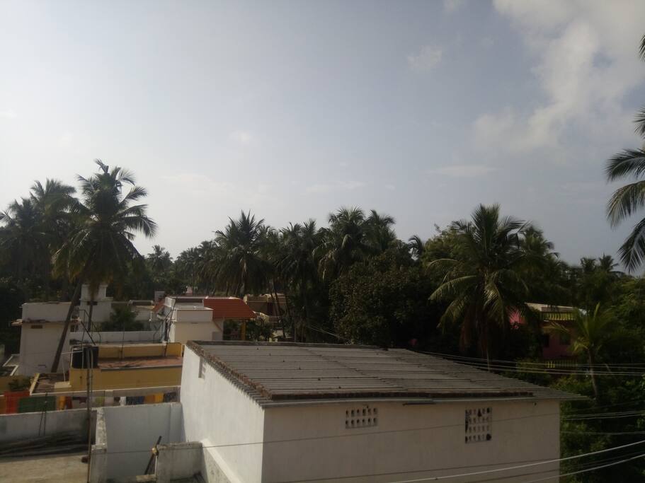 Open View