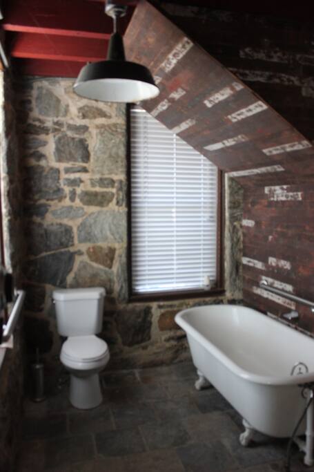 Restored 100 year old clawfoot tub and flooring on the walls.