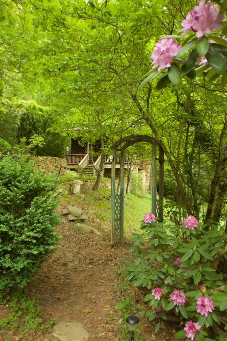 A short stroll to the cabin