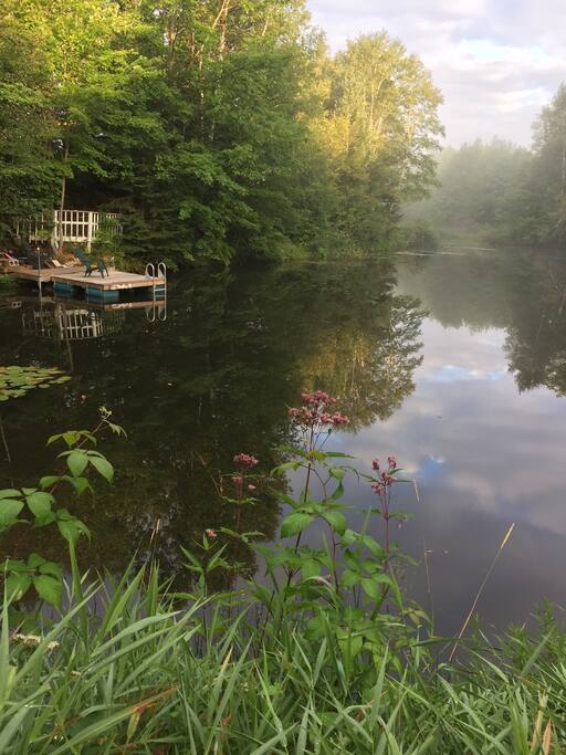 Secluded pond about 75 yards from the cabin.