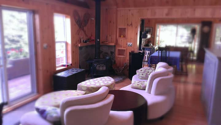 dnevni boravak u kojemu je štednjak na drva