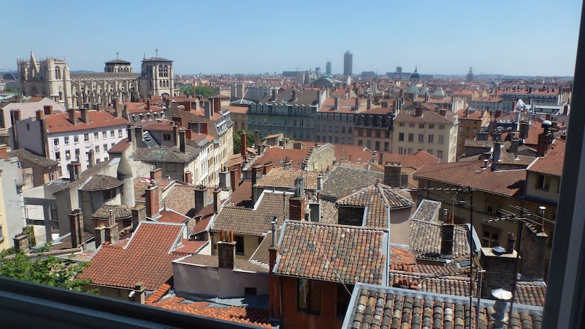 Old Lyon 180° view,1250 sq+garden