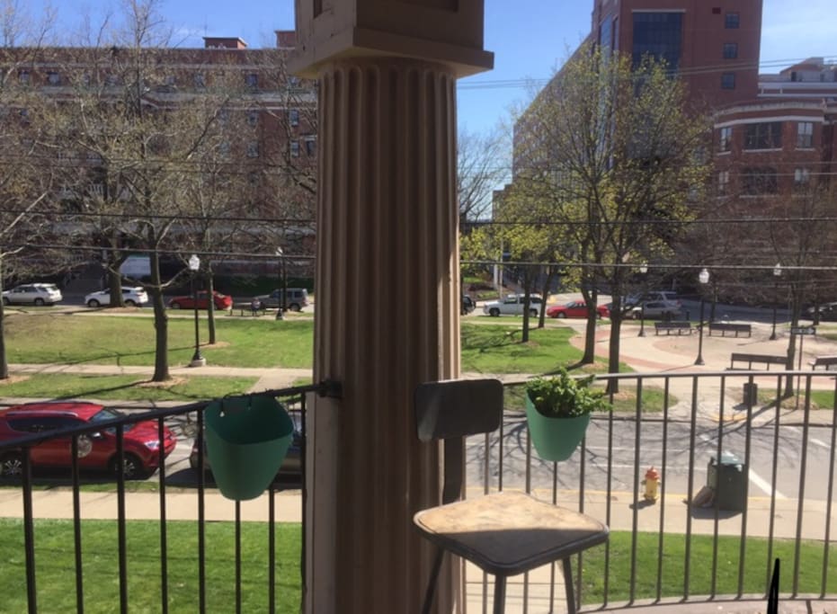 Patio in the day