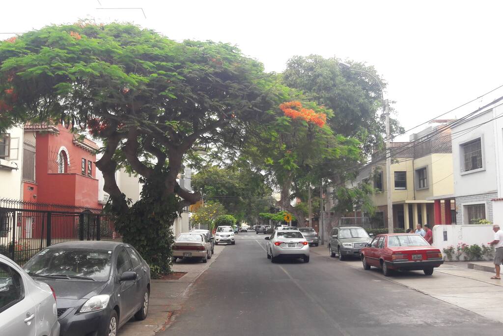 Quiet street next door to Larcomar and promenade.