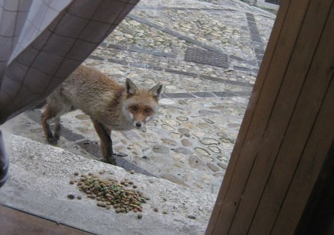 Stone House in NationalparkMajella