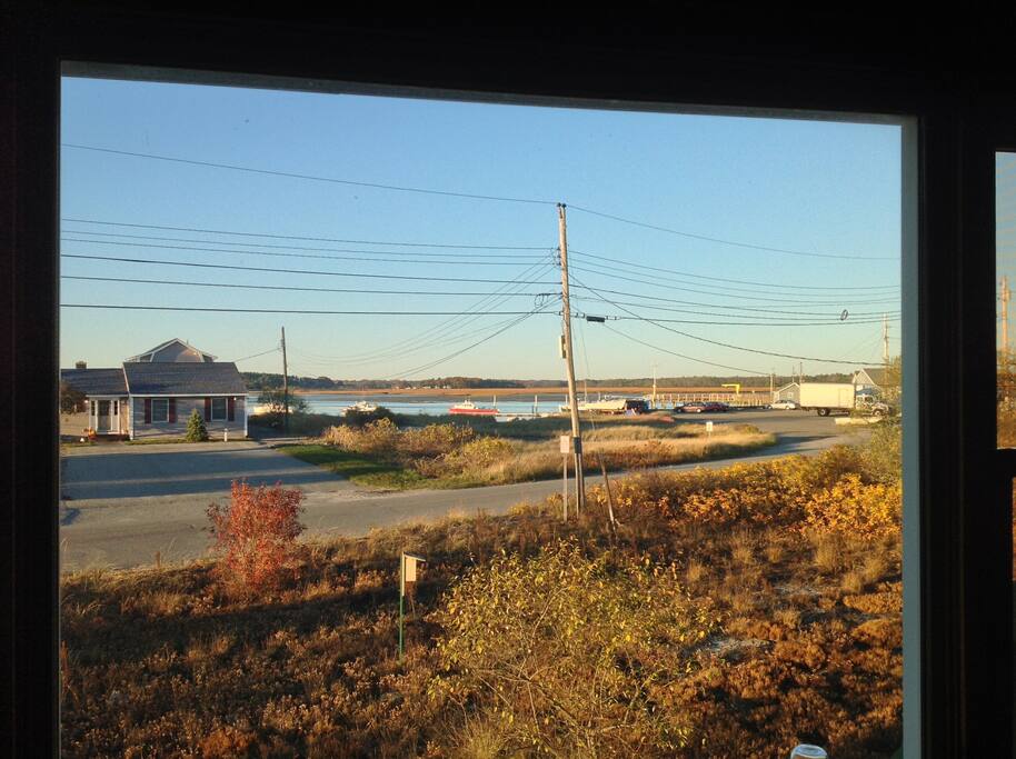 View from Livingroom Window