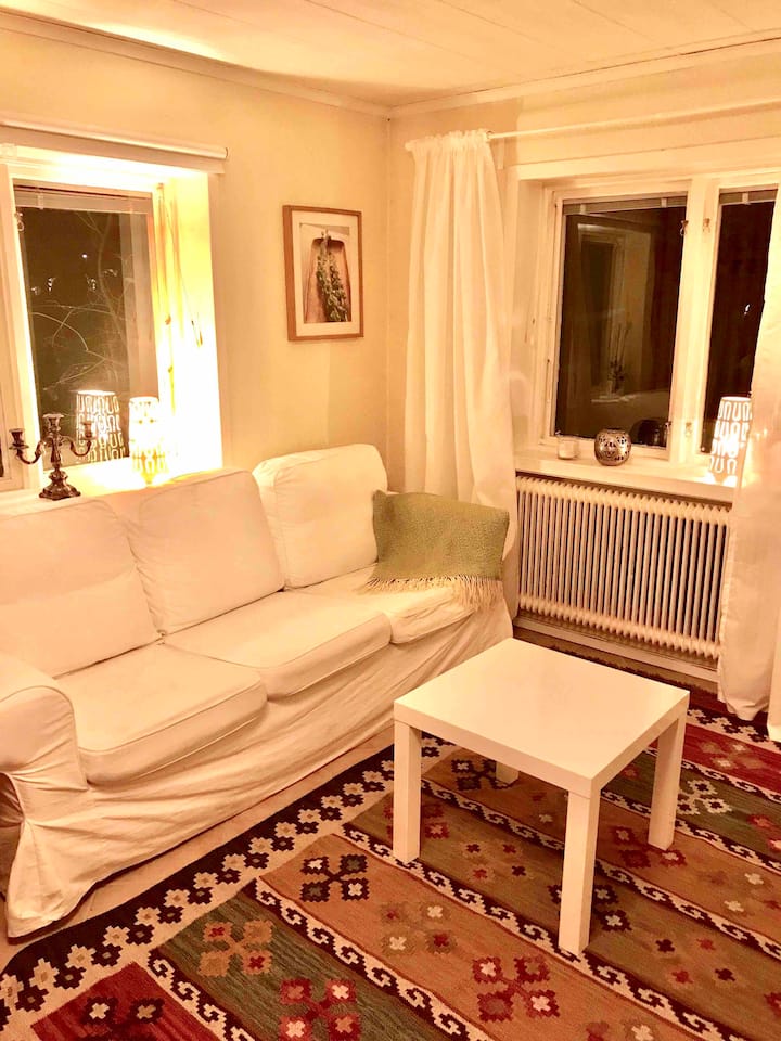Sala de estar con sofá cama para dos personas en la entrada en la planta baja.