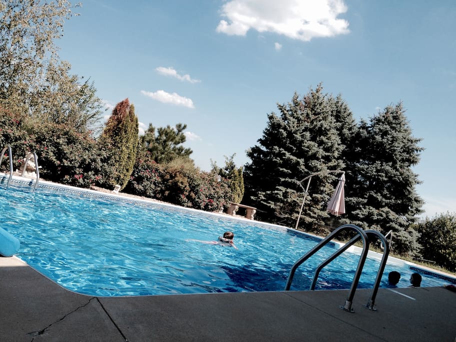 Pool/Backyard