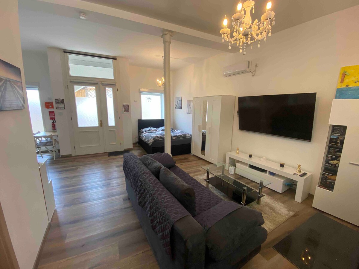 The open living and dining area features a dark sofa facing a modern television. A white entertainment unit stands beneath the TV, along with a glass coffee table. A warm light fixture hangs from the ceiling. The spacious sleeping area is visible through a doorway.