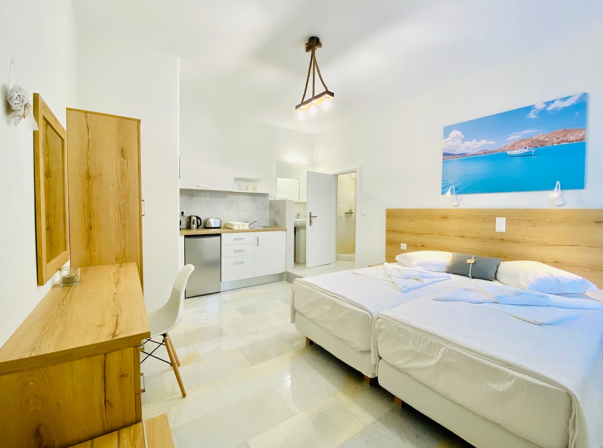 A modern studio layout features a light color scheme with natural wood accents. A kitchenette is seen in the background, equipped with essential appliances. Two spacious beds are positioned in the foreground, complemented by a decorative wall art piece depicting a coastal scene.